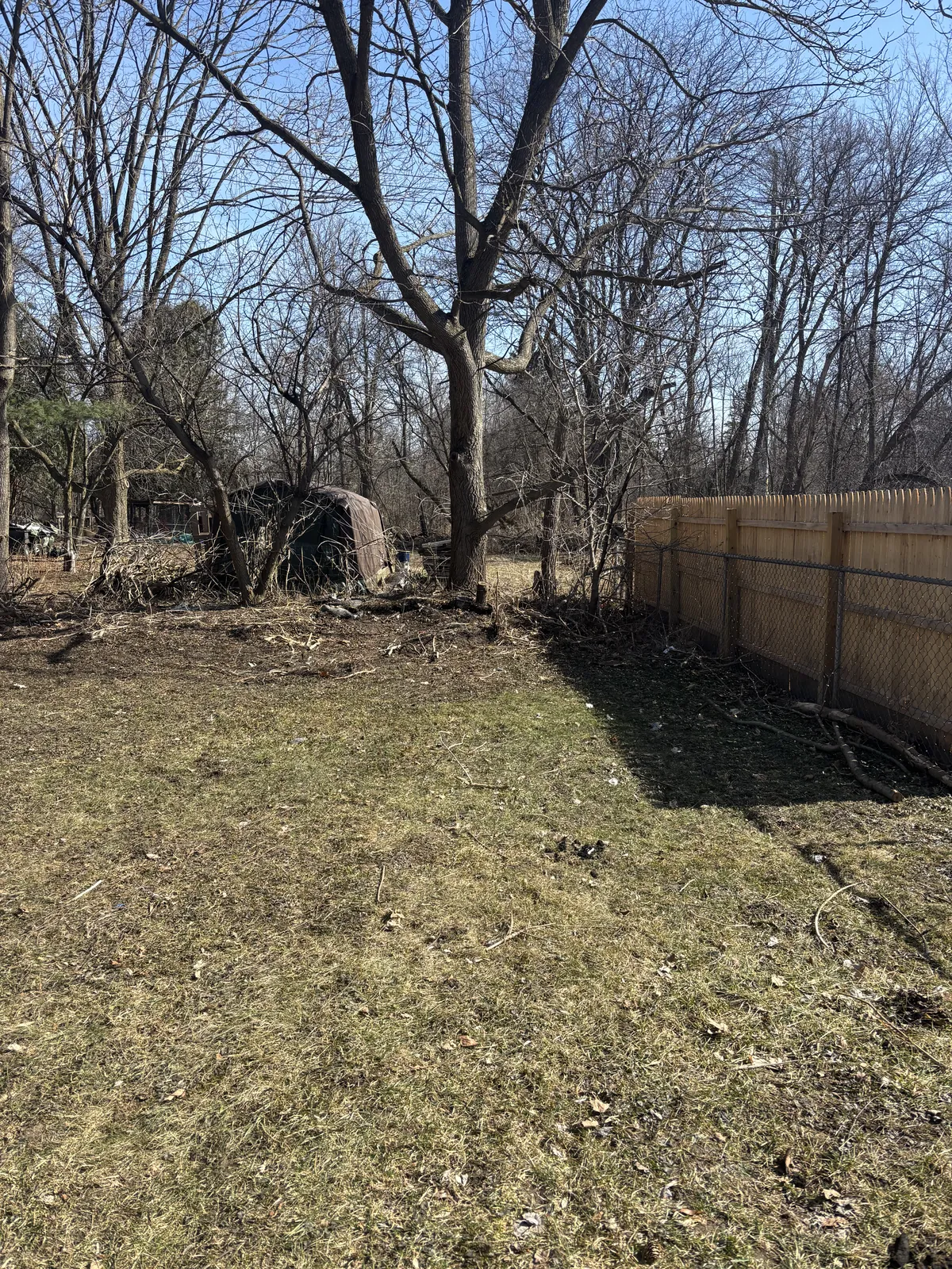The same corner of the yard cleared after the shed came down